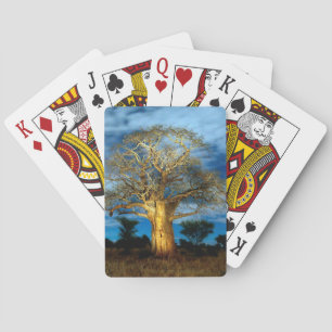 Baraja De Cartas Árbol Baobab (Adansonia) iluminado por la luna