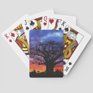 Baraja De Cartas árbol baobab africano, Adansonia digitata, 2