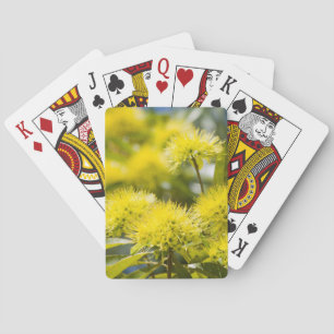 Baraja De Cartas Árbol de Acacia Amarillo Brillante