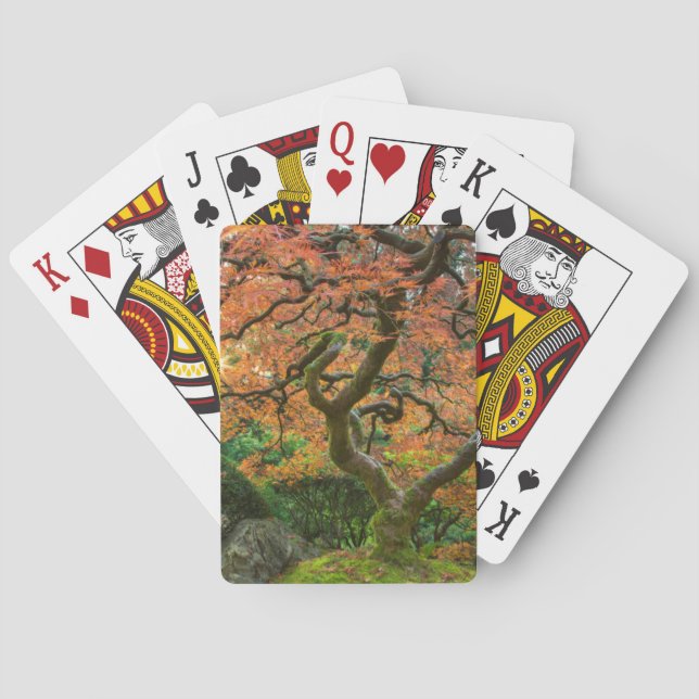 Baraja De Cartas Árbol De Arce En Los Jardines Japoneses En Otoño (Reverso)