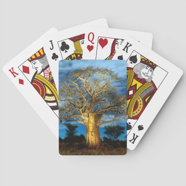 Baraja De Cartas Árbol De Baobab (Adansonia) Encendido Por La Luna (Reverso)