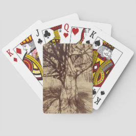 Baraja De Cartas Árbol de haya (por Eugène Atget)