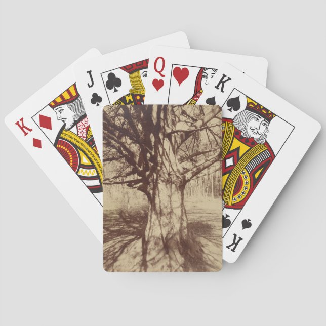 Baraja De Cartas Árbol de haya (por Eugène Atget) (Reverso)