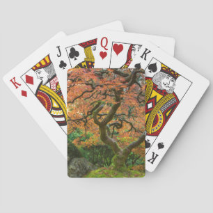 Baraja De Cartas Árbol De Maíz En Los Jardines Japoneses En Otoño