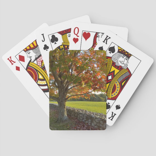 Baraja De Cartas Árbol de otoño en tarjetas de juego de pared de pi (Reverso)
