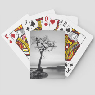 Baraja De Cartas Árbol desnudo solo