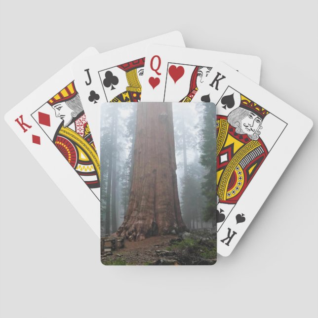 Baraja De Cartas Árbol general Sherman, Sequoia, CA (Reverso)