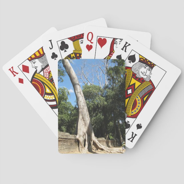 Baraja De Cartas Árbol Gigante Banyan ... Templo Ta Prohm, Camboya (Reverso)