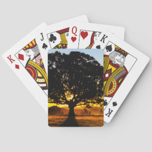 Baraja De Cartas Árbol por la mañana
