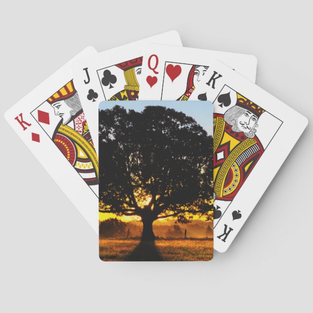 Baraja De Cartas Árbol por la mañana (Reverso)