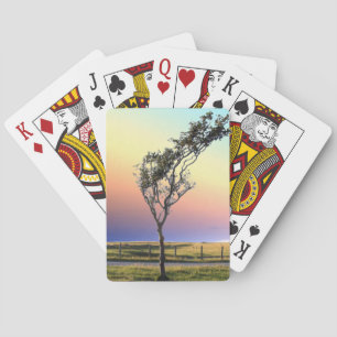 BARAJA DE CARTAS ÁRBOL ÚNICO