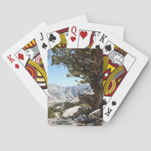 Baraja De Cartas Árbol viejo en el parque nacional de Yosemite