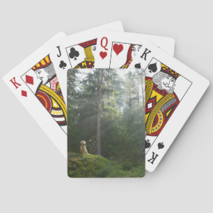 Baraja De Cartas Arbolado del pino del perro el   del golden