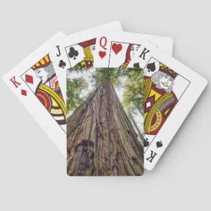 Baraja De Cartas Arboleda Roosevelt