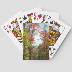 Baraja De Cartas Árboles caídos y fotografía de la naturaleza otoña