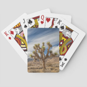 Baraja De Cartas Árboles de Joshua en el desierto