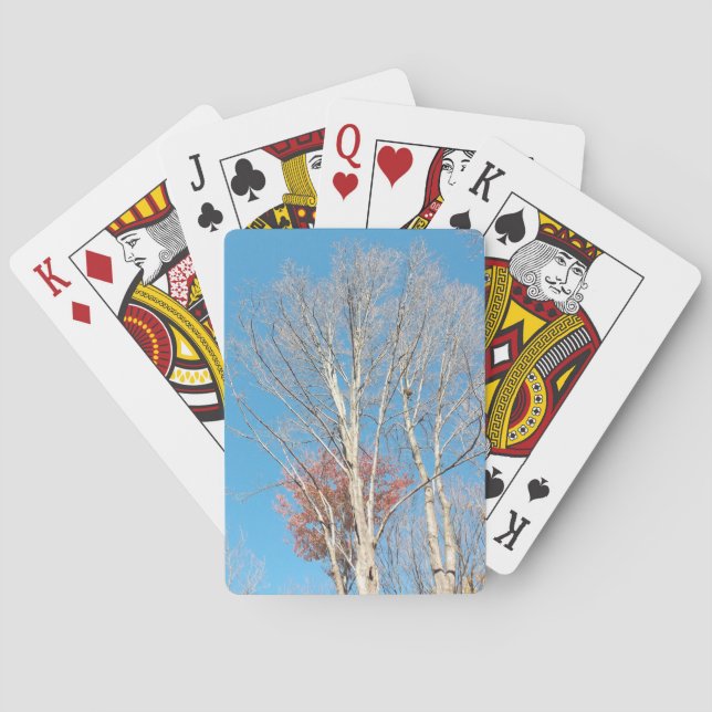 Baraja De Cartas Árboles Desnudos (Reverso)