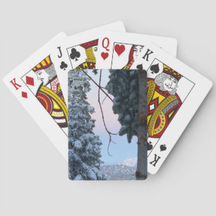 Baraja De Cartas Árboles nevados