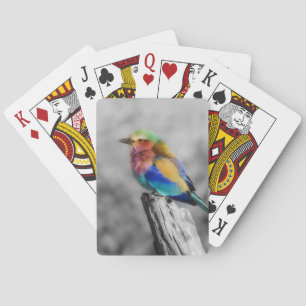 Baraja De Cartas Arcoiris