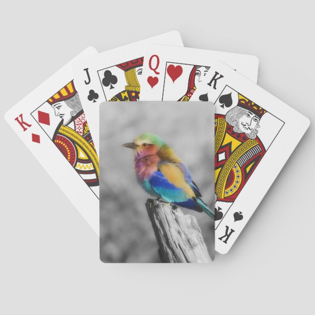 Baraja De Cartas Arcoiris (Reverso)