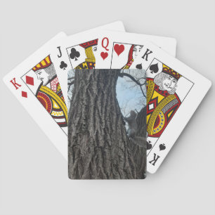 Baraja De Cartas Ardilla