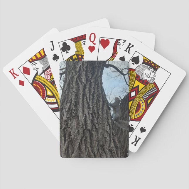 Baraja De Cartas Ardilla (Reverso)