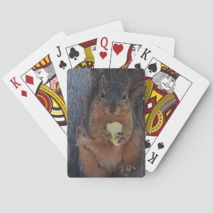 Baraja De Cartas Ardilla