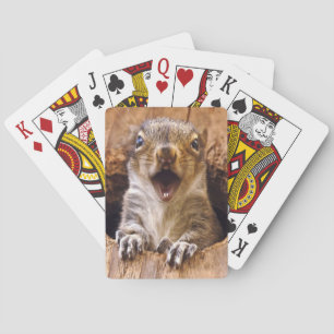Baraja De Cartas Ardilla chocada