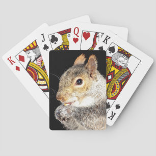 Baraja De Cartas Ardilla comiendo una nuez