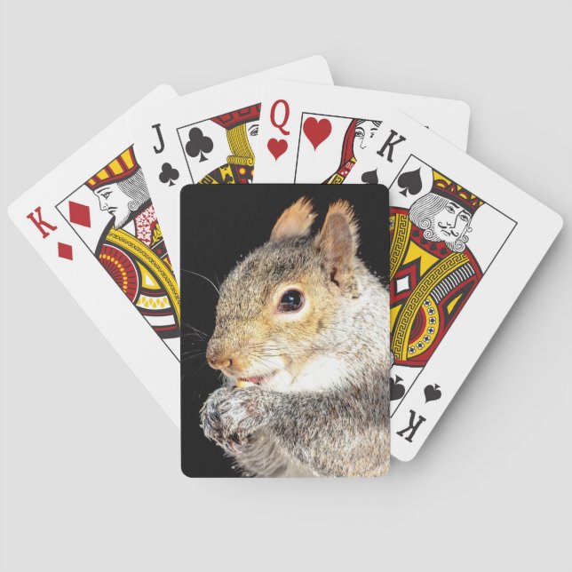 Baraja De Cartas Ardilla comiendo una nuez (Reverso)