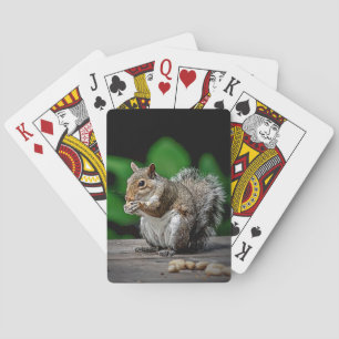 Baraja De Cartas Ardilla con los cacahuetes