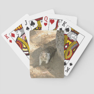Baraja De Cartas Ardilla Cuta en Yosemite, California
