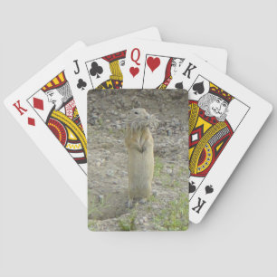 Baraja De Cartas Ardilla de tierra de R1 Richardson