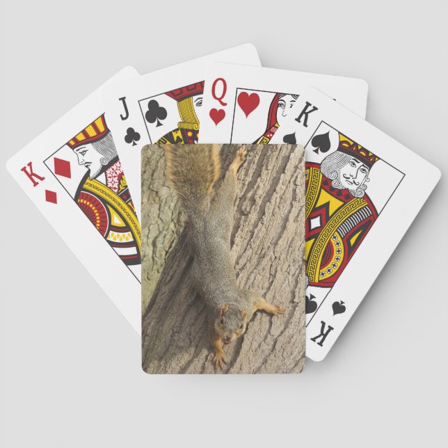 Baraja De Cartas Ardilla en árbol con foto de nueces (Reverso)