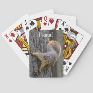 Baraja De Cartas ardilla Fox personalizada en un árbol