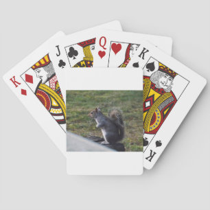 Baraja De Cartas Ardilla gris