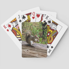 Baraja De Cartas ardilla hambrienta