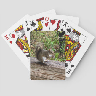 Baraja De Cartas ardilla hambrienta
