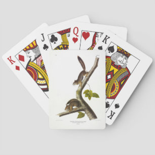 Baraja De Cartas ardilla roja estadounidense (colombiana de Richard