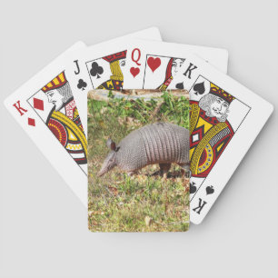 Baraja De Cartas Armadillo
