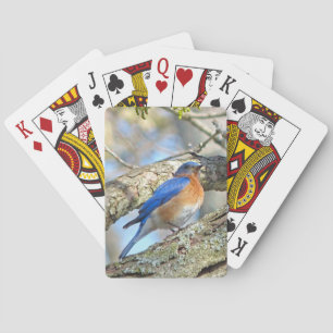 Baraja De Cartas Aroma