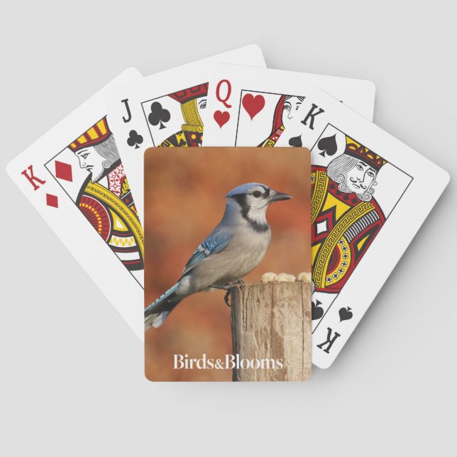 Baraja De Cartas Arrendajo azul (Reverso)
