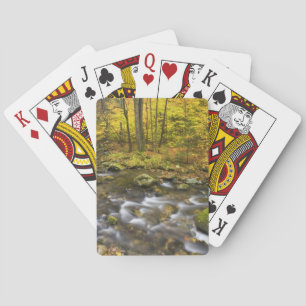 Baraja De Cartas Arroyo Sanderson. Bosque Estatal Chester-Blanford.