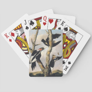 Baraja De Cartas Arte Antiguo de Audubon del Pájaro Carpintero de P