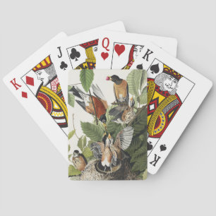 Baraja De Cartas Arte Antiguo Nido de Pájaro de Robin Americano de