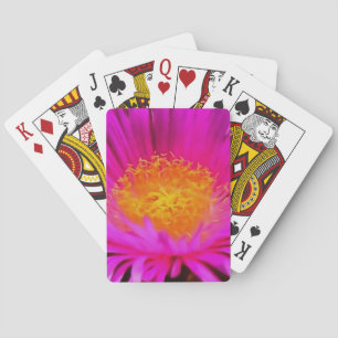 Baraja De Cartas Arte artístico de flores de aster rosa magenta