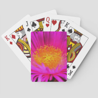 Baraja De Cartas Arte artístico de flores de aster rosa magenta