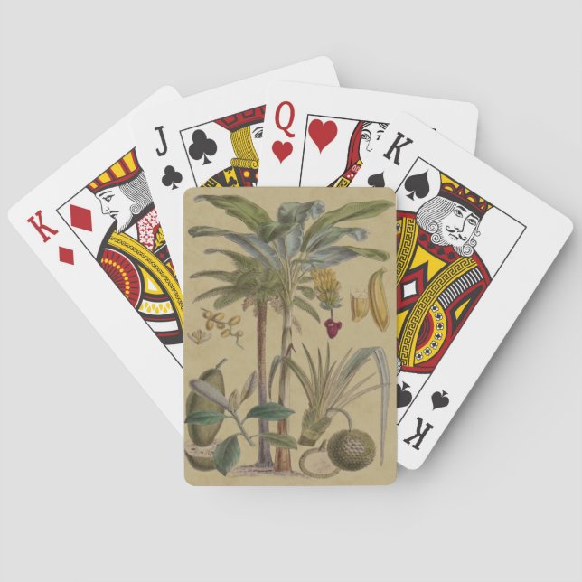 Baraja De Cartas Arte botánico de frutas tropicales palmo antiguo (Reverso)