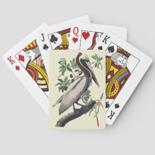 Baraja De Cartas Arte de Ave Costera Pelícano Pardo Vintage Audubon