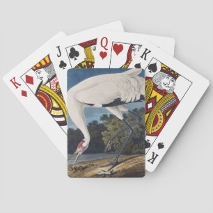 Baraja De Cartas Arte de la Naturaleza del Grulla Trompetero Vintag